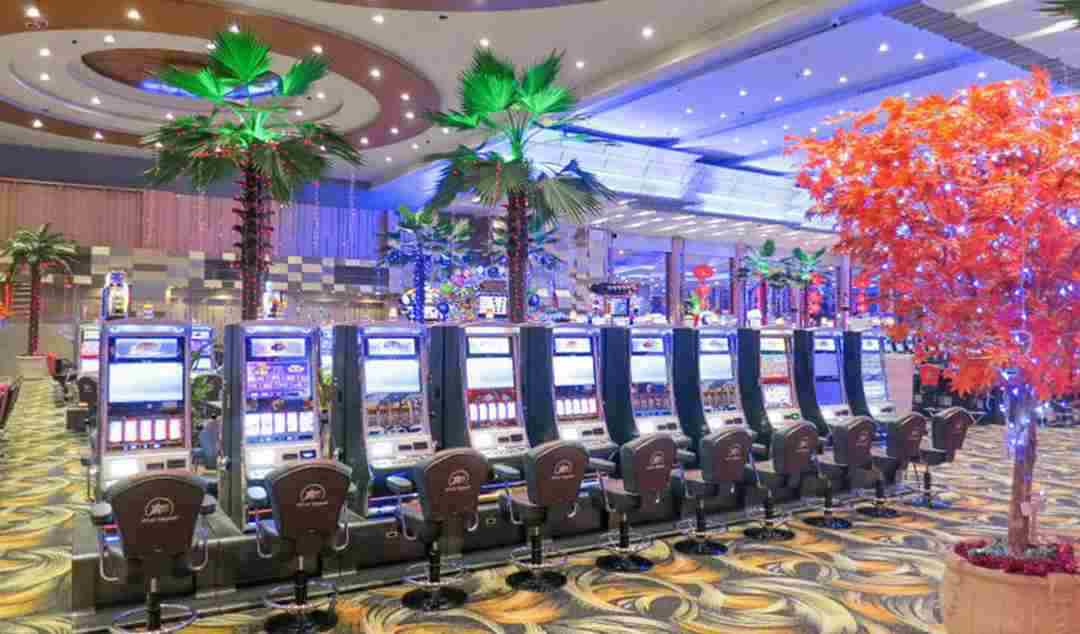 Casino Star Vegas International - địa chỉ cực đáng trải nghiệm