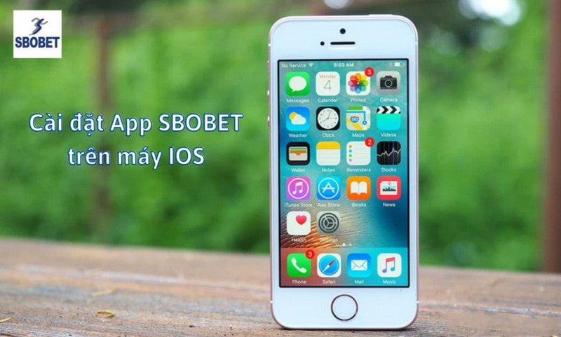 Cài đặt ứng dụng Sbobet cho IOS đơn giản, dễ thực hiện
